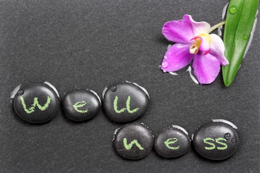 Wellness,hot stones