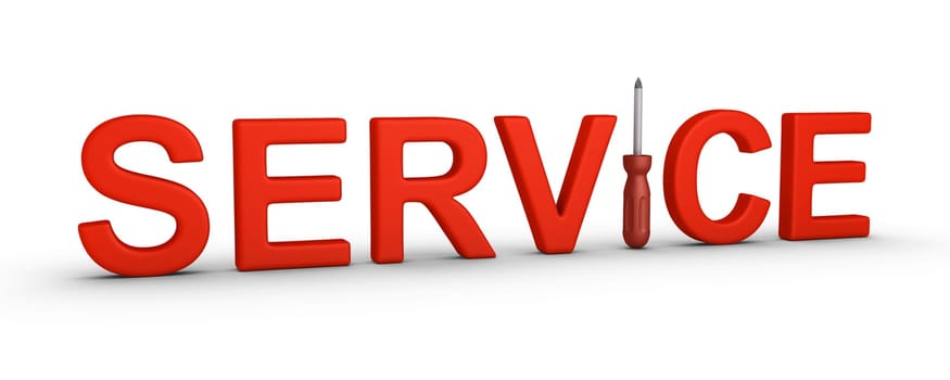3d Service letters and a screwdriver included in the word