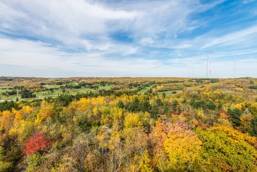 Autumn colored scene near harbor of Lake Superior