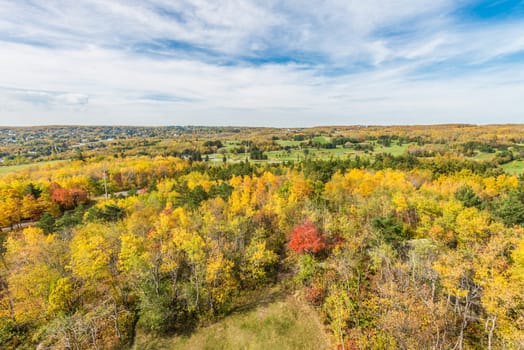 Autumn colored scene near harbor of Lake Superior