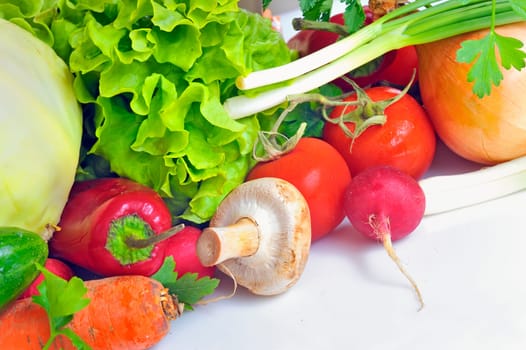 Fresh vegetables isolated on white.