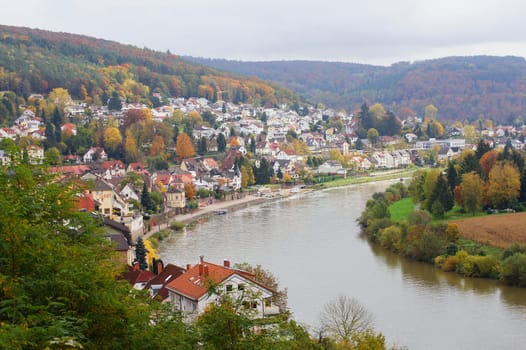 View of Neckarsteinach
