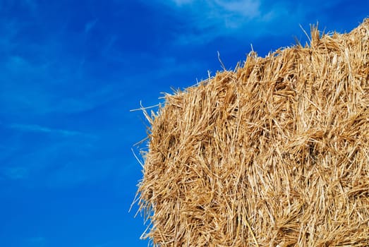 Straw bales stacked on land