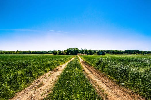 Countryside road in natural surroundings