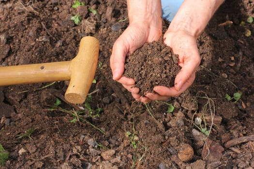 Compost,composted earth