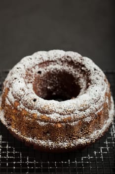 Closeup of dry chocolate cake sprinkled with icing sugar and resting on metal grill