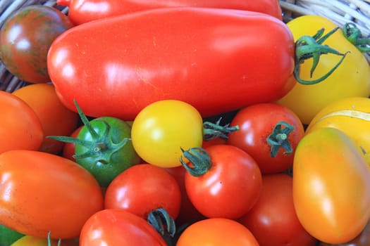 different tomato varieties in numerous colours (Solanum lycopersicum)
