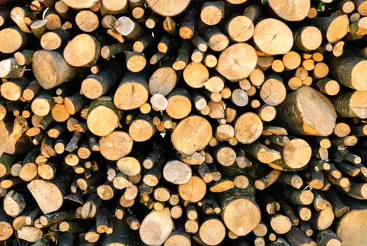 pile of wood to burn in the fireplace