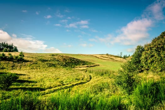 Green fields with sunshine and blue sky