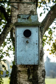 Old bird house hanging on a tree