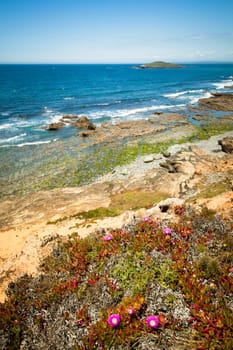coast portugal , rota vicentina walking trail