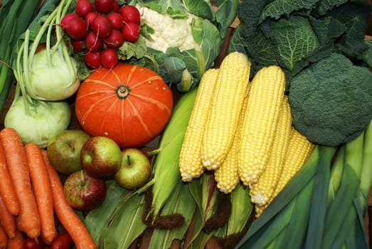 Fresh organic vegetables