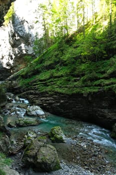 Travelling mountain river in the Alps between cliffs