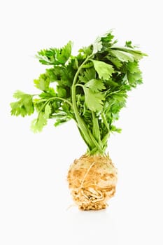 Celery