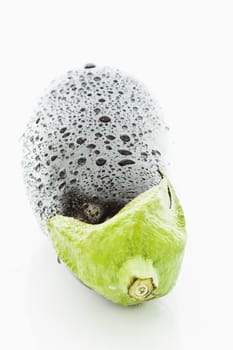 Eggplant