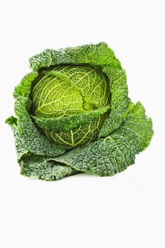 Savoy cabbage