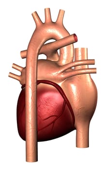 Digital illustration of heart in colour background