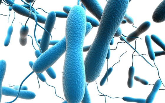 Digital illustration of cholera bacteria in colour background