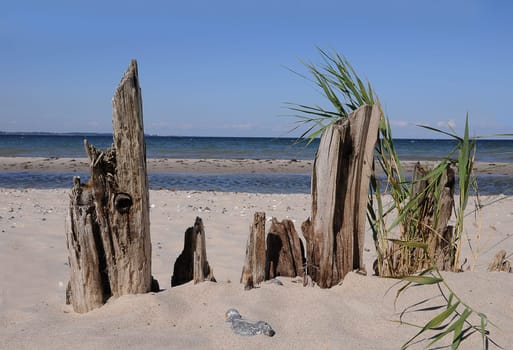 Groynes