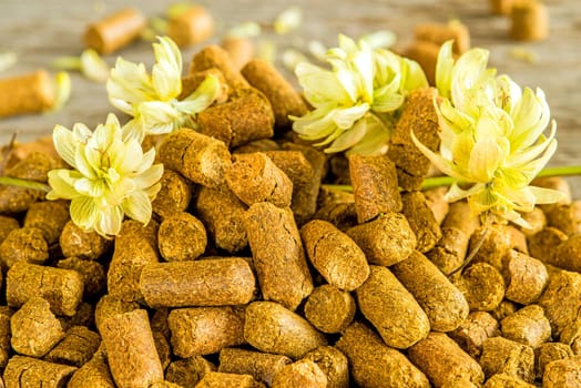 Hop pellets with hop blossom