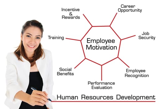 Business Woman writing human resource development chart