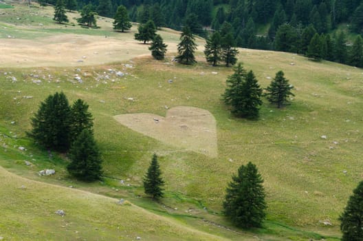 lawn with shaped the heart of the Alps in Italy