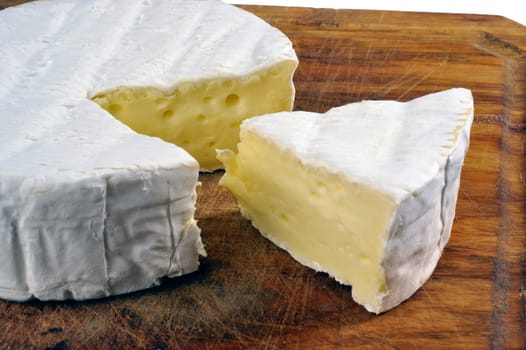 French Camembert cheese of Normandy