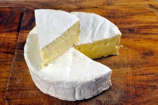 French Camembert cheese of Normandy