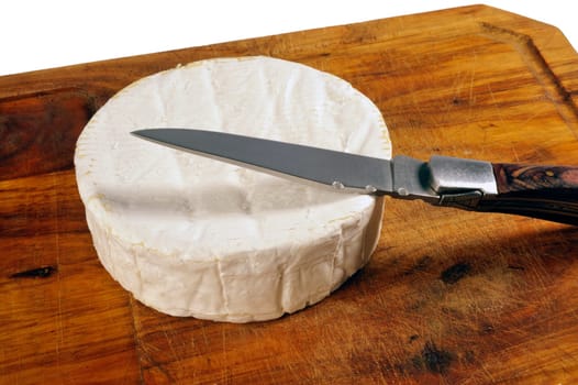 French Camembert cheese of Normandy