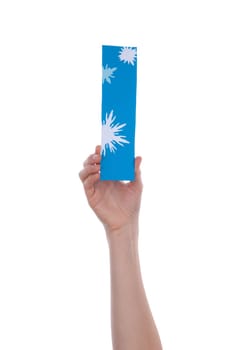 A Hand Holding a Snowy Blue I, Isolated