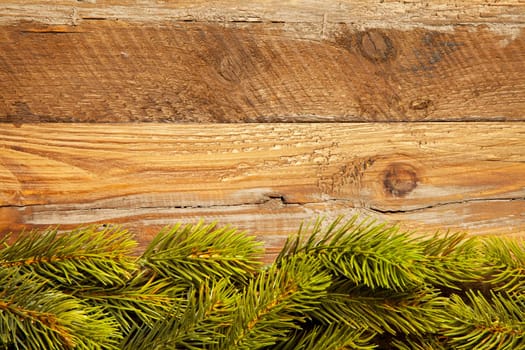 Christmas background with fir branches