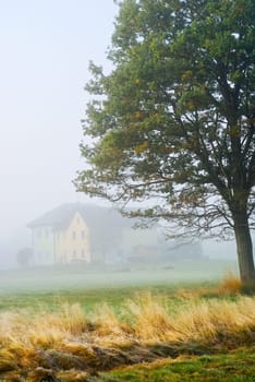 Landscape in the morning in the moor