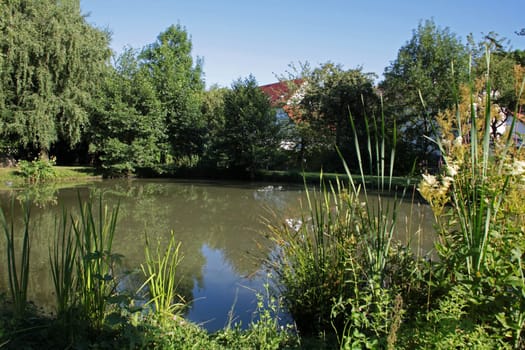 The Bossenteich in Bösingfeld