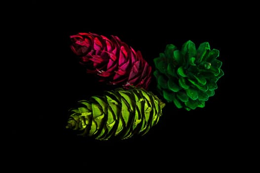 Pine cones lacquered in neon