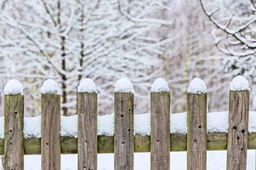 Winter fence bokeh