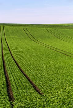 Green fields to horizon 2