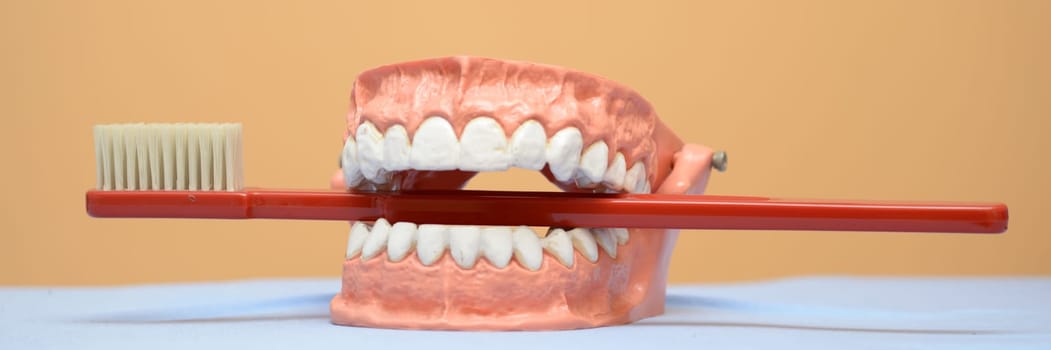 Teeth with toothbrush