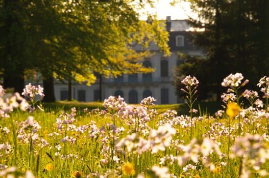 Schloss Wilhelmsthal is a castle near the city of Kassel near Calden in the district of Kassel in Hesse,Germany. The complex was built from 1743 to 1761 and is one of the most important Rococo castles north of the Main. The castle has a large park with water features.
