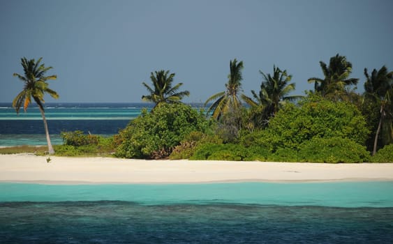 In the Maldives