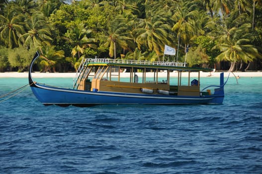 Maldives Dhoni