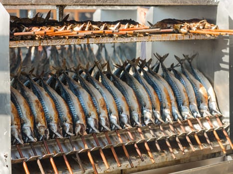 Cooking grilled mackerel on skewers in the hot oven