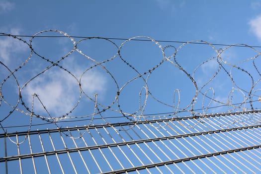 Fence with barbed wire