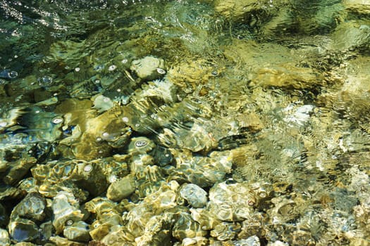 Torrent