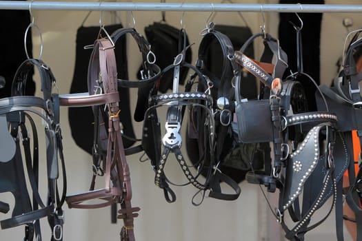 Bridle