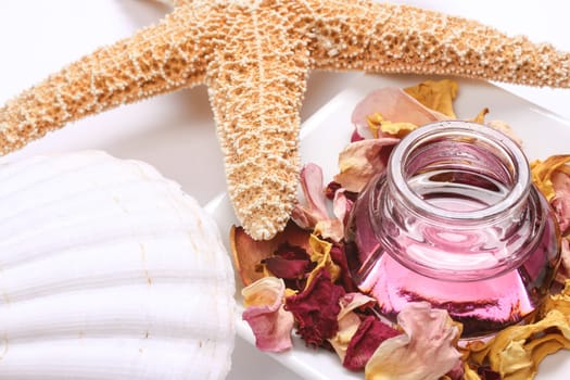 Essence with potpourri and starfish