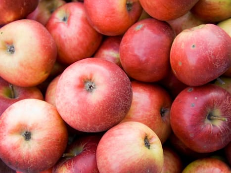 Agricultural background, a pile of beautiful red apples