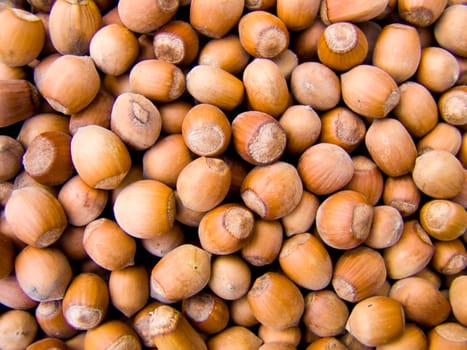 Agricultural background, a pile of beautifulhazelnuts