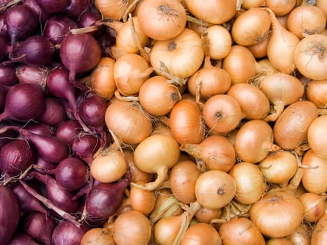 Agricultural background, a pile of beautiful bulb onions