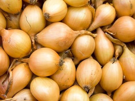 Agricultural background, a pile of beautiful bulb onions