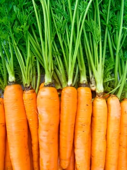 A pile of beautiful carrots on a counter